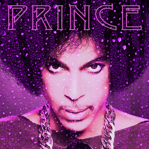 Prince and the Revolution Lets Go Crazy Live 10 CD Box Set Purple Rain